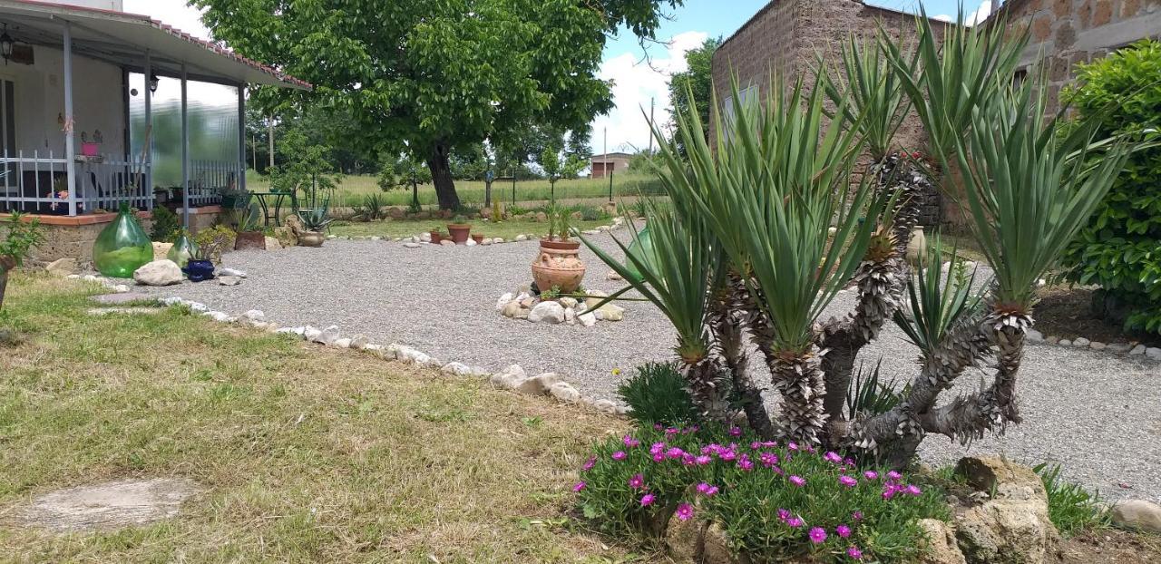 San Valentino  La Cascina Della Grotta Di Tufo Bed & Breakfast エクステリア 写真
